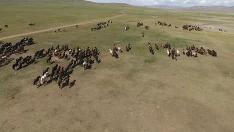 Epische-Pferdeherde,-Die-Mit-Einer-Drohne-In-Der-Mongolei-Galoppiert